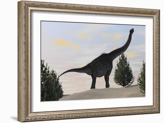 Large Brachiosaurus Amongst Pine Trees-null-Framed Art Print