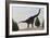 Large Brachiosaurus Amongst Pine Trees-null-Framed Art Print