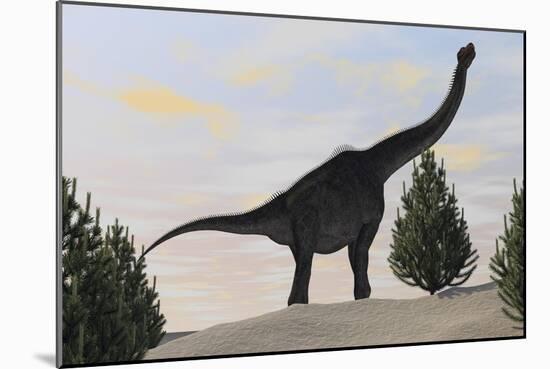 Large Brachiosaurus Amongst Pine Trees-null-Mounted Art Print