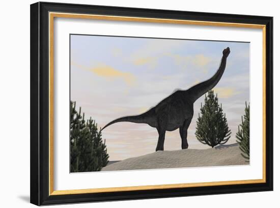 Large Brachiosaurus Amongst Pine Trees-null-Framed Art Print