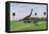 Large Brachiosaurus and a Gigantoraptor in a Grassy Field-null-Framed Stretched Canvas