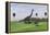 Large Brachiosaurus and a Gigantoraptor in a Grassy Field-null-Framed Stretched Canvas