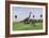 Large Brachiosaurus and a Gigantoraptor in a Grassy Field-null-Framed Art Print