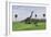 Large Brachiosaurus and a Gigantoraptor in a Grassy Field-null-Framed Art Print