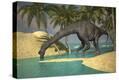 Stretched Canvas Print