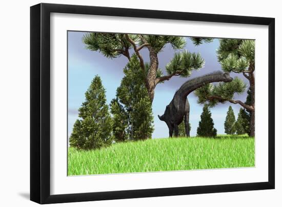 Large Brachiosaurus Grazing Among Trees-null-Framed Art Print