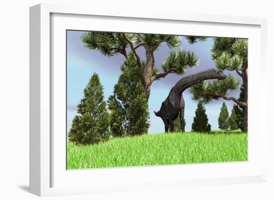 Large Brachiosaurus Grazing Among Trees-null-Framed Art Print