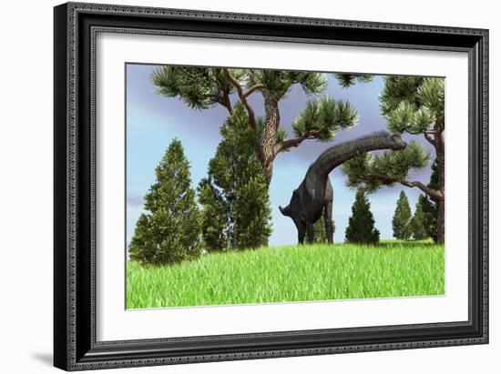 Large Brachiosaurus Grazing Among Trees-null-Framed Art Print