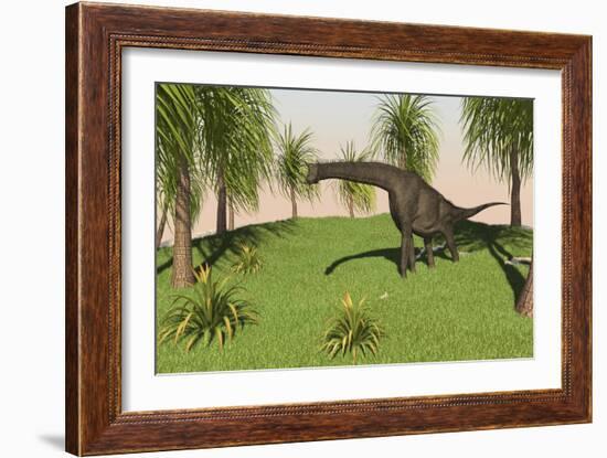 Large Brachiosaurus Grazing in a Grassy Field-null-Framed Art Print