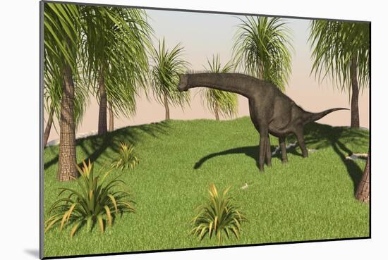 Large Brachiosaurus Grazing in a Grassy Field-null-Mounted Art Print