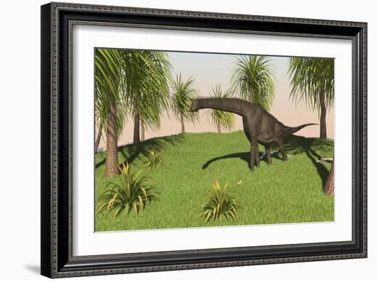 Large Brachiosaurus Grazing in a Grassy Field-null-Framed Art Print