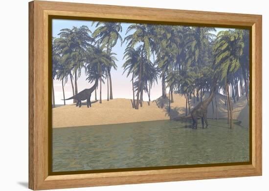 Large Brachiosaurus Grazing in a Tropical Climate-null-Framed Stretched Canvas