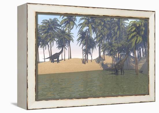 Large Brachiosaurus Grazing in a Tropical Climate-null-Framed Stretched Canvas