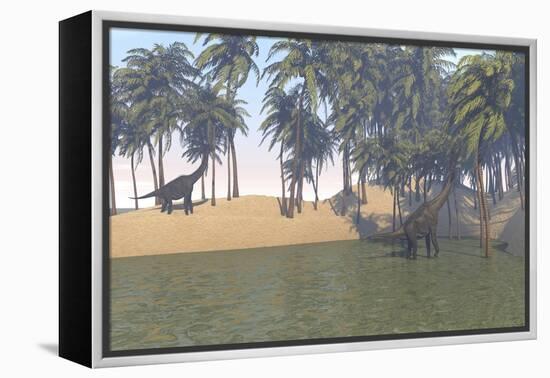 Large Brachiosaurus Grazing in a Tropical Climate-null-Framed Stretched Canvas