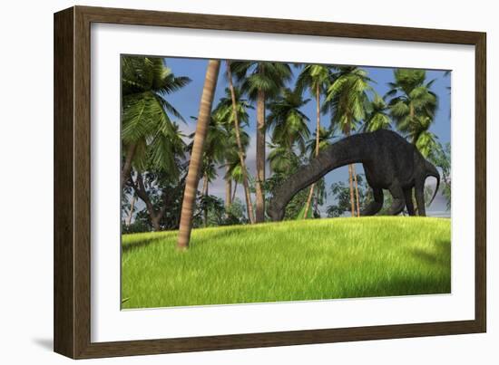 Large Brachiosaurus Grazing in a Tropical Climate-null-Framed Art Print