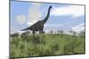 Large Brachiosaurus Grazing in an Open Field-null-Mounted Art Print