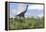 Large Brachiosaurus Grazing in an Open Field-null-Framed Stretched Canvas