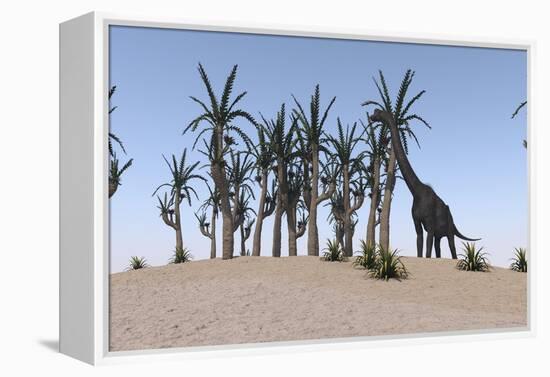 Large Brachiosaurus Grazing on an Island-null-Framed Stretched Canvas