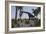 Large Brachiosaurus Grazing on Foliage-null-Framed Art Print