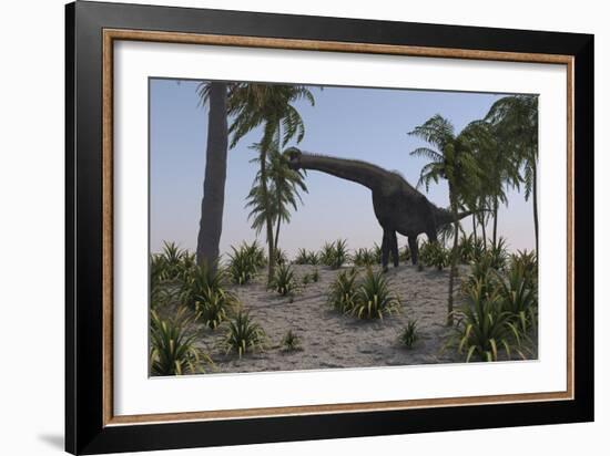 Large Brachiosaurus Grazing on Foliage-null-Framed Art Print