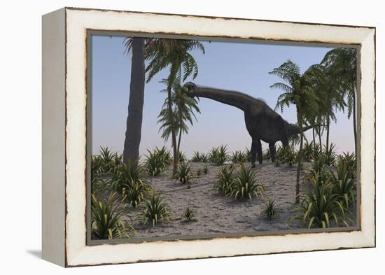 Large Brachiosaurus Grazing on Foliage-null-Framed Stretched Canvas