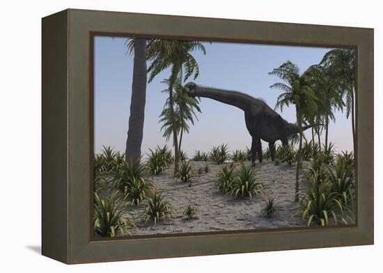 Large Brachiosaurus Grazing on Foliage-null-Framed Stretched Canvas