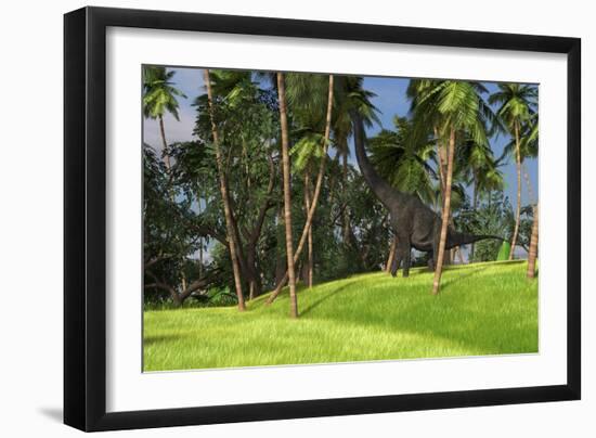 Large Brachiosaurus Grazing on Palm Trees-null-Framed Art Print