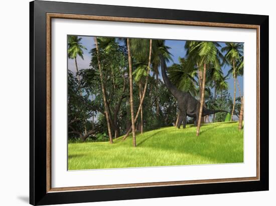 Large Brachiosaurus Grazing on Palm Trees-null-Framed Art Print