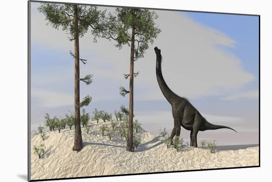 Large Brachiosaurus Grazing on Tall Trees-null-Mounted Art Print