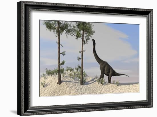 Large Brachiosaurus Grazing on Tall Trees-null-Framed Art Print