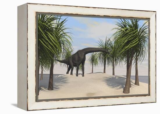 Large Brachiosaurus Grazing on Trees-null-Framed Stretched Canvas