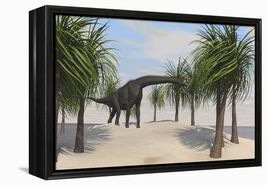 Large Brachiosaurus Grazing on Trees-null-Framed Stretched Canvas