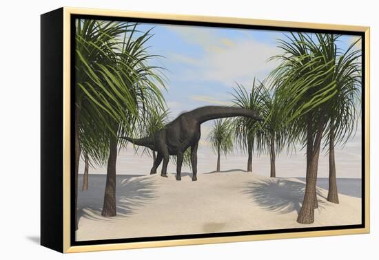 Large Brachiosaurus Grazing on Trees-null-Framed Stretched Canvas