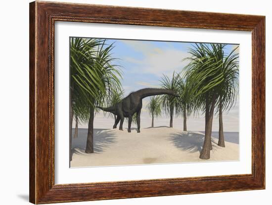 Large Brachiosaurus Grazing on Trees-null-Framed Art Print