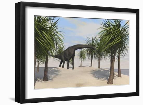 Large Brachiosaurus Grazing on Trees-null-Framed Art Print