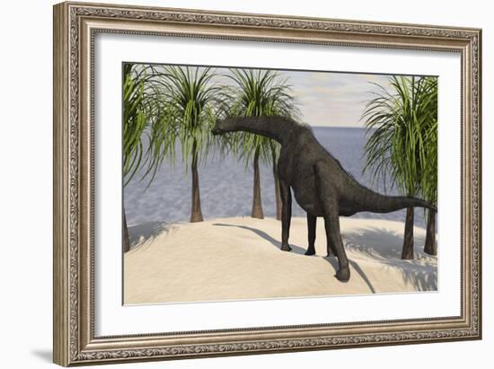 Large Brachiosaurus Grazing on Trees-null-Framed Art Print