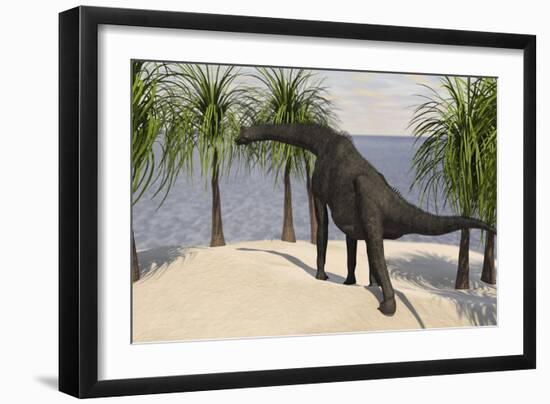 Large Brachiosaurus Grazing on Trees-null-Framed Art Print