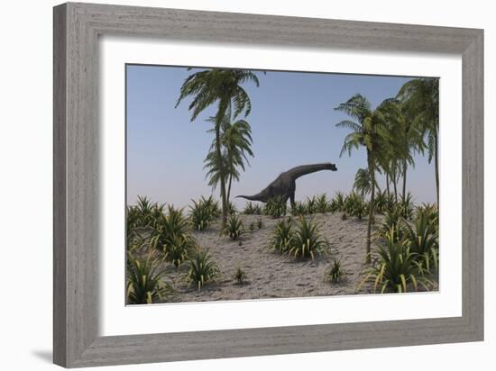 Large Brachiosaurus Grazing-null-Framed Art Print