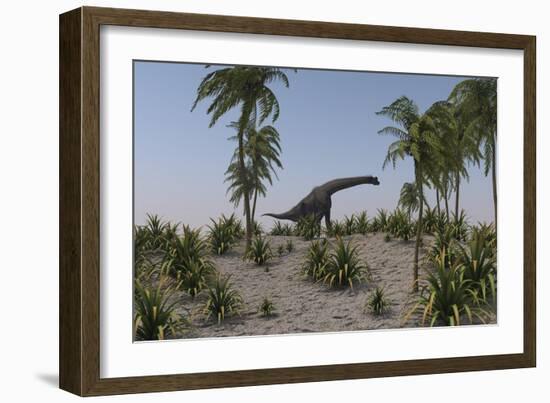 Large Brachiosaurus Grazing-null-Framed Art Print