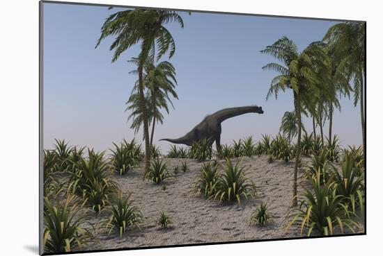 Large Brachiosaurus Grazing-null-Mounted Art Print