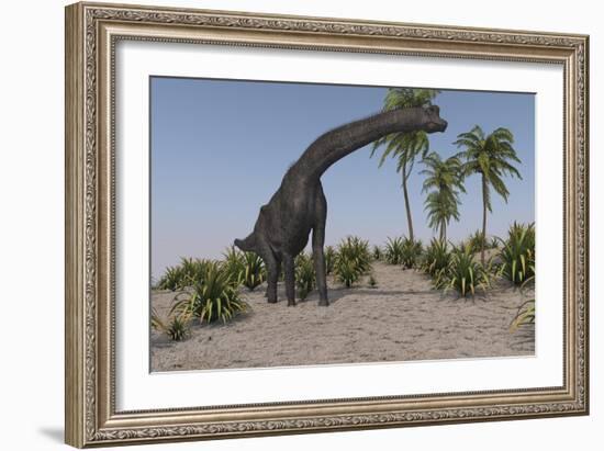 Large Brachiosaurus Grazing-null-Framed Art Print