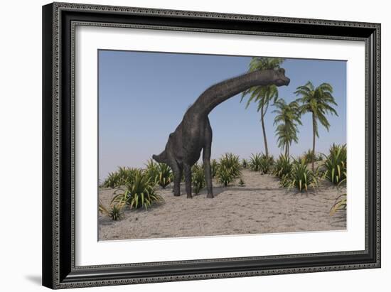 Large Brachiosaurus Grazing-null-Framed Art Print