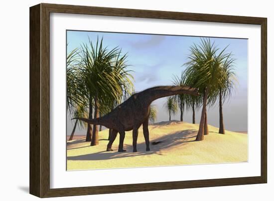 Large Brachiosaurus Grazing-null-Framed Art Print