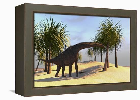 Large Brachiosaurus Grazing-null-Framed Stretched Canvas