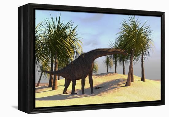 Large Brachiosaurus Grazing-null-Framed Stretched Canvas