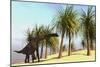 Large Brachiosaurus Grazing-null-Mounted Art Print