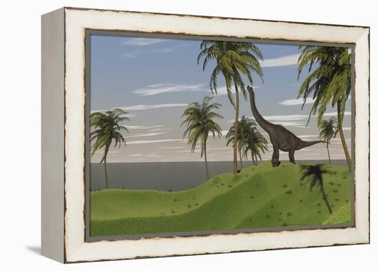 Large Brachiosaurus Grazing-null-Framed Stretched Canvas