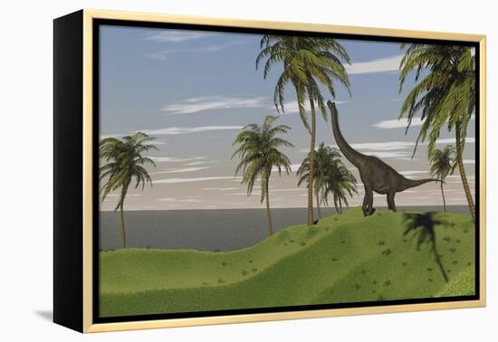 Large Brachiosaurus Grazing-null-Framed Stretched Canvas