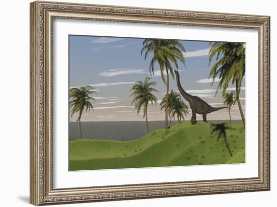 Large Brachiosaurus Grazing-null-Framed Art Print