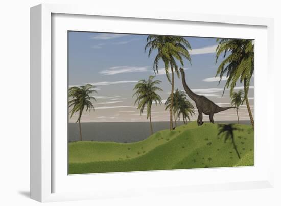 Large Brachiosaurus Grazing-null-Framed Art Print